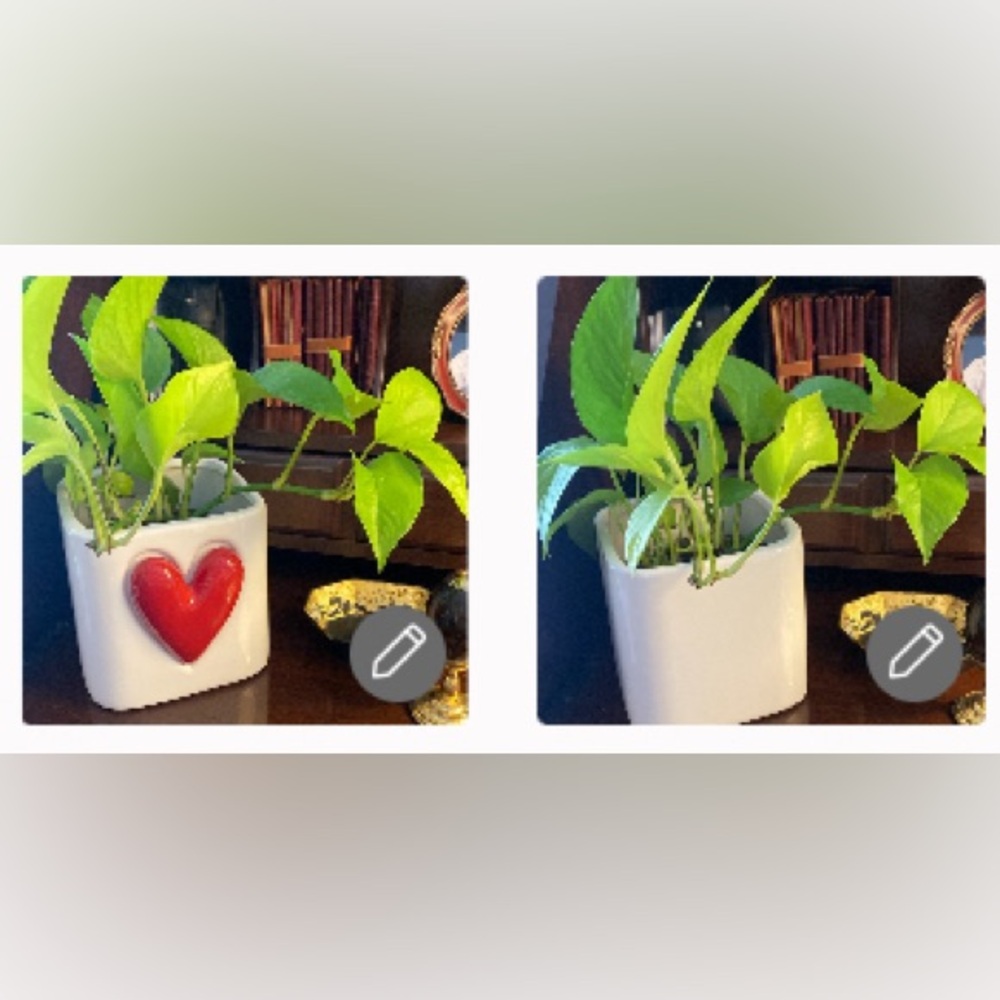 Two-in-One Square White/Red Heart ♥️ Planter